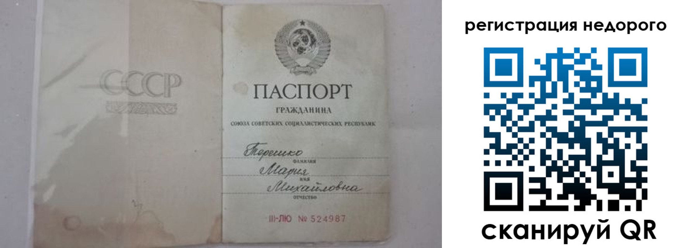прописка законно в Вязьме